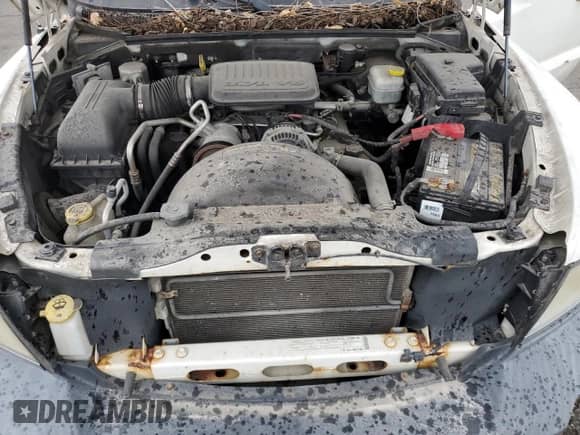 2008 Dodge Dakota ST z VIN 1D7HW22K88S628759, wystawiony jako Copart lot #80499065 z przebiegiem 153 178 mil mil oraz Czysty tytuł • Clean title. Historia ofert i sprzedaży dostępna na DreamBid. Obrazek 11.