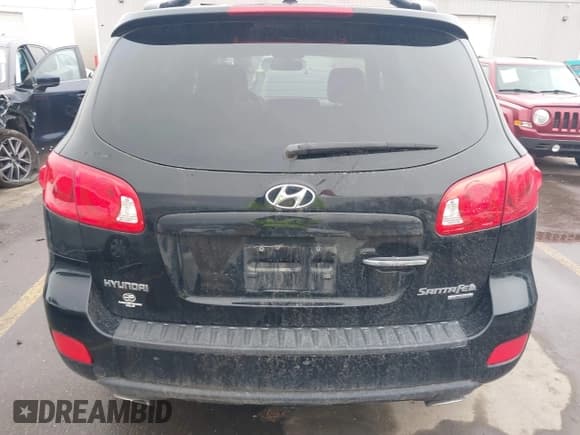 ✅ 2009 Hyundai Santa Fe SE • VIN: 5NMSH13E09H257400 • Lot: 41788575. Listed on IAAI with 136,812 mi. Free auction sales archive from the USA and detailed vehicle history report at DreamBid. Image 16.