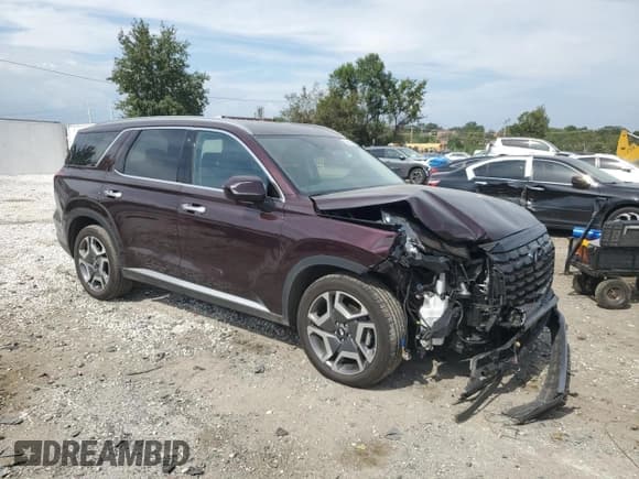 ✅ 2023 Hyundai Palisade SEL • VIN: KM8R4DGE7PU544725 • Lot: 80368265. Listed on Copart with 36,360 mi. Free auction sales archive from the USA and detailed vehicle history report at DreamBid. Image 4.