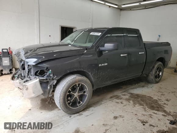 ✅ 2010 Dodge 1500 SLT • VIN: 1D7RV1GP8AS198968 • Lot: 58907235. Wystawiony na Copart z przebiegiem 248 476 mil. Bezpłatny archiwum sprzedaży aukcyjnych z USA i szczegółowy raport historii pojazdu na DreamBid. Zdjęcie 1.