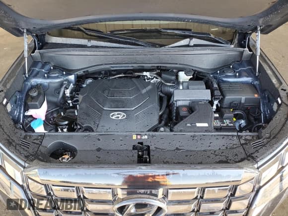 ✅ 2025 Hyundai Palisade SEL • VIN: KM8R2DGE8SU859533 • Лот: 48571315. Опубликован ранее на Copart с пробегом 2 860 миль. Бесплатный доступ к архиву аукционных продаж из США и подробный отчёт об истории автомобиля на DreamBid. Изображение 12.