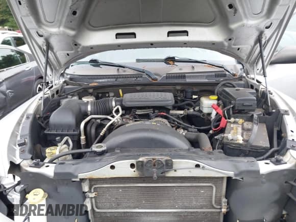 ✅ 2010 Dodge Dakota Bighorn/Lonestar • VIN: 1D7CW3GKXAS225851 • Lot: 43211752. Wystawiony na IAAI z przebiegiem 178 473 mil. Bezpłatny archiwum sprzedaży aukcyjnych z USA i szczegółowy raport historii pojazdu na DreamBid. Zdjęcie 10.