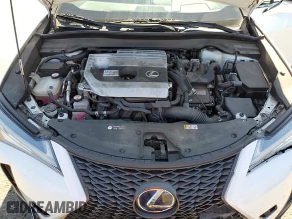 ✅ 2019 Lexus UX 250h • VIN: JTHU9JBH8K2011513 • Лот: 69647905. Опубликован ранее на Copart с пробегом 52 975 миль. Бесплатный доступ к архиву аукционных продаж из США и подробный отчёт об истории автомобиля на DreamBid. Изображение 11.