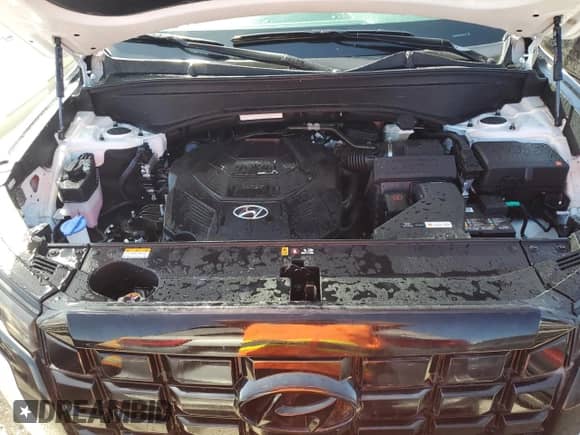 2024 Hyundai Palisade SEL z VIN KM8R24GE7RU731715, wystawiony jako Copart lot #74347094 z przebiegiem Nie podano mil oraz Nie do naprawy • Non repairable. Historia ofert i sprzedaży dostępna na DreamBid. Obrazek 12.