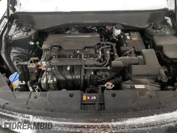 2024 Hyundai Kona SEL с VIN KM8HBCAB3RU110802, выставлен на аукционе Copart как лот 85800354 с пробегом 19 681 миль миль и Чистый • Clean title. История ставок и продаж доступна на DreamBid. Изображение 12.