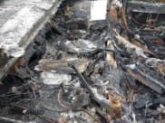 ✅ 1993 Chevrolet Corvette • VIN: 1G1YY33P1P5103178 • Lot: 42458387. Listed on IAAI with Not provided. Free auction sales archive from the USA and detailed vehicle history report at DreamBid. Image 8.