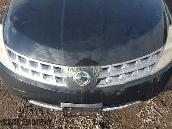 ✅ 2007 Nissan Murano SE • VIN: JN8AZ08W77W645565 • Lot: 43786666. Listed on IAAI with Not provided. Free auction sales archive from the USA and detailed vehicle history report at DreamBid. Image 10.