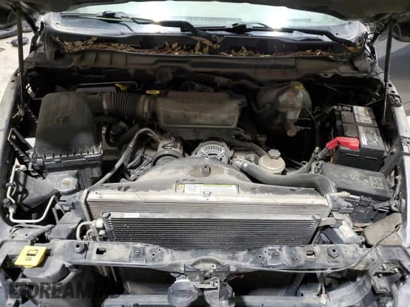 2010 Dodge 1500 ST с VIN 1D7RV1GP7AS135120, выставлен на аукционе Copart как лот 82037144 с пробегом 155 680 миль миль и Списание • Salvage title. История ставок и продаж доступна на DreamBid. Изображение 11.