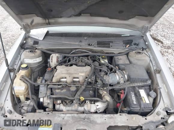 1998 Chevrolet Malibu с VIN 1G1ND52M1W6247033, выставлен на аукционе IAAI как лот 43569695 с пробегом 135 579 миль миль и . История ставок и продаж доступна на DreamBid. Изображение 10.