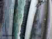 2005 Chevrolet Suburban LT z VIN 3GNEC16Z35G233549, wystawiony jako Copart lot #71860624 z przebiegiem Nie podano mil oraz Nie do naprawy • Non repairable. Historia ofert i sprzedaży dostępna na DreamBid. Obrazek 13.