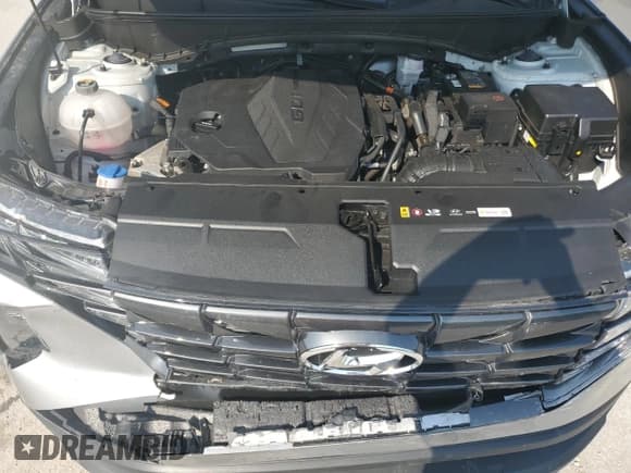 ✅ 2023 Hyundai Tucson N Line • VIN: KM8JF3AE9PU255498 • Lot: 63360954. Wystawiony na Copart z przebiegiem 12 276 mil. Bezpłatny archiwum sprzedaży aukcyjnych z USA i szczegółowy raport historii pojazdu na DreamBid. Zdjęcie 14.