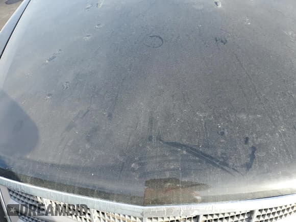 ✅ 2008 Cadillac STS RWD • VIN: 1G6DW67V080101977 • Lot: 84711014. Listed on Copart with Not provided. Free auction sales archive from the USA and detailed vehicle history report at DreamBid. Image 11.