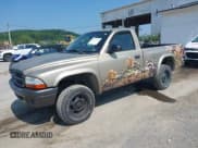 ✅ 2002 Dodge Dakota • VIN: 1B7GG16X72S525603 • Lot: 42417722. Wystawiony na IAAI z przebiegiem 150 867 mil. Bezpłatny archiwum sprzedaży aukcyjnych z USA i szczegółowy raport historii pojazdu na DreamBid. Zdjęcie 2.