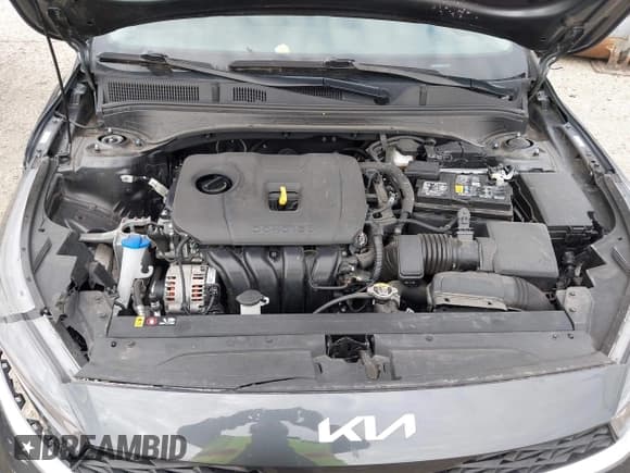 ✅ 2024 Kia Forte LXS • VIN: 3KPF24AD5RE790137 • Lot: 43451026. Wystawiony na IAAI z przebiegiem 15 341 mil. Bezpłatny archiwum sprzedaży aukcyjnych z USA i szczegółowy raport historii pojazdu na DreamBid. Zdjęcie 10.