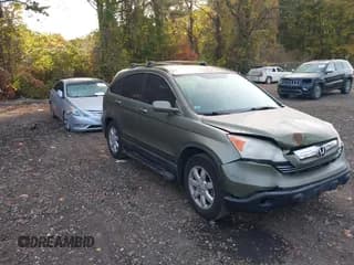 ✅ 2009 Honda CR-V EX-L • VIN: 5J6RE48769L008918 • Lot: 43533722. Wystawiony na IAAI z przebiegiem 161 833 mil. Bezpłatny archiwum sprzedaży aukcyjnych z USA i szczegółowy raport historii pojazdu na DreamBid. Zdjęcie 1.