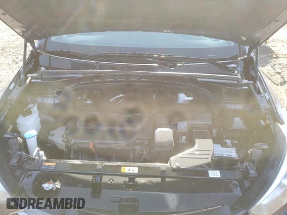 ✅ 2017 Hyundai Santa Fe 2.4L • VIN: 5XYZTDLB3HG411644 • Лот: 48133593. Опубликован ранее на Copart с пробегом 105 056 миль. Бесплатный доступ к архиву аукционных продаж из США и подробный отчёт об истории автомобиля на DreamBid. Изображение 12.