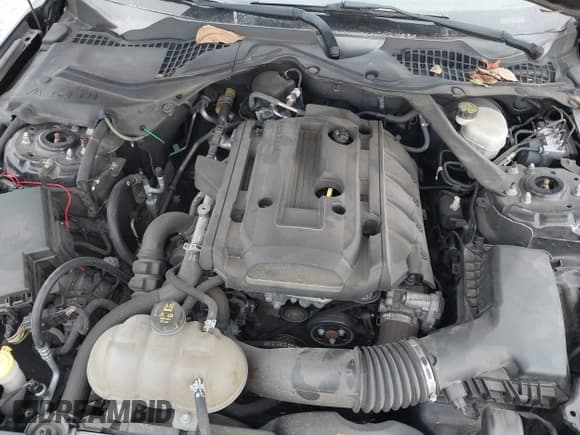 ✅ 2016 Ford Mustang EcoBoost Premium • VIN: 1FA6P8TH7G5277270 • Lot: 43478404. Listed on IAAI with 63,477 mi. Free auction sales archive from the USA and detailed vehicle history report at DreamBid. Image 10.