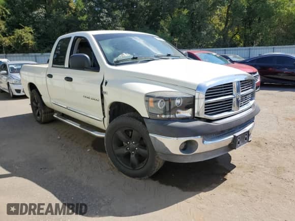 2007 Dodge 1500 SLT с VIN 1D7HA18237J613624, выставлен на аукционе Copart как лот 74253074 с пробегом 117 488 миль миль и Списание • Salvage title. История ставок и продаж доступна на DreamBid. Изображение 4.