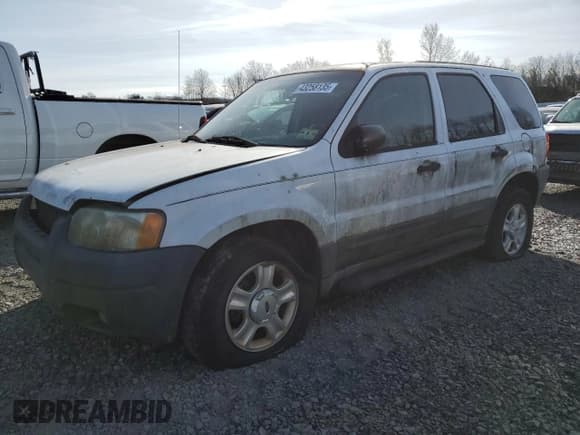 ✅ 2003 Ford Escape XLT Popular • VIN: 1FMYU03153KC15034 • Lot: 58889875. Listed on Copart with 190,986 mi. Free auction sales archive from the USA and detailed vehicle history report at DreamBid. Image 1.