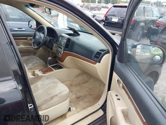 ✅ 2009 Hyundai Santa Fe GLS • VIN: 5NMSG13D29H322340 • Lot: 43335825. Listed on IAAI with 306,617 mi. Free auction sales archive from the USA and detailed vehicle history report at DreamBid. Image 5.