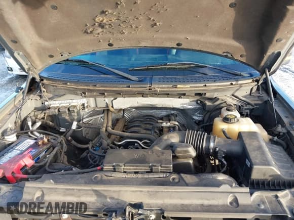 ✅ 2013 Ford F-150 XL • VIN: 1FTFX1EF8DFA54304 • Lot: 41484021. Listed on IAAI with 53,121 mi. Free auction sales archive from the USA and detailed vehicle history report at DreamBid. Image 10.