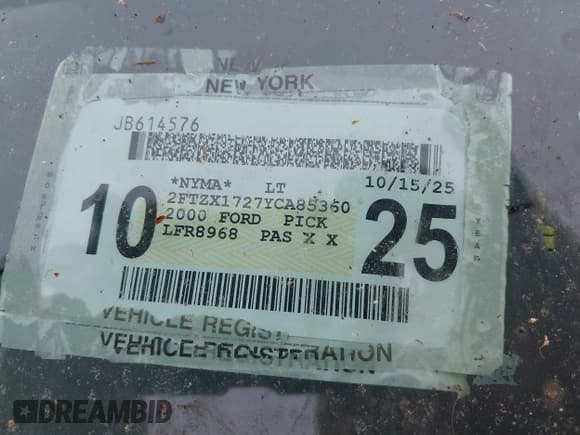 ✅ 2000 Ford F-150 • VIN: 2FTZX1727YCA85360 • Lot: 42325271. Wystawiony na IAAI z przebiegiem 119 040 mil. Bezpłatny archiwum sprzedaży aukcyjnych z USA i szczegółowy raport historii pojazdu na DreamBid. Zdjęcie 12.