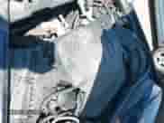 2013 Chevrolet Impala Police with VIN 2G1WD5E31D1256682, listed as a IAAI auction lot 42276990 with 148,251 mi miles and . Bid and sale history available at DreamBid. Image 20.