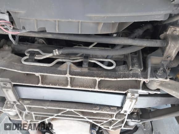 ✅ 2005 Chevrolet Corvette • VIN: 1G1YY24U255114220 • Lot: 42543444. Listed on IAAI with 77,448 mi. Free auction sales archive from the USA and detailed vehicle history report at DreamBid. Image 21.