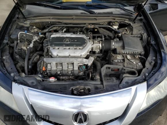 ✅ 2009 Acura TL Technology • VIN: 19UUA86559A008815 • Lot: 82527185. Wystawiony na Copart z przebiegiem 140 177 mil. Bezpłatny archiwum sprzedaży aukcyjnych z USA i szczegółowy raport historii pojazdu na DreamBid. Zdjęcie 11.