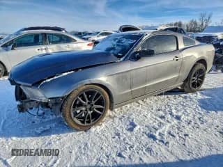 ✅ 2014 Ford Mustang V6 • VIN: 1ZVBP8AM1E5327292 • Лот: 95699165. Опубликован ранее на Copart с пробегом Не указан. Бесплатный доступ к архиву аукционных продаж из США и подробный отчёт об истории автомобиля на DreamBid. Изображение 1.