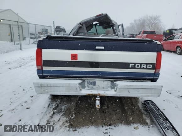 ✅ 1994 Ford F-150 • VIN: 1FTEF14N1RLB58455 • Лот: 87865585. Опубликован ранее на Copart с пробегом Не указан. Бесплатный доступ к архиву аукционных продаж из США и подробный отчёт об истории автомобиля на DreamBid. Изображение 6.