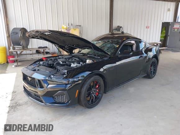 ✅ 2025 Ford Mustang GT • VIN: 1FA6P8CF7S5400976 • Lot: 42441842. Listed on IAAI with Not provided. Free auction sales archive from the USA and detailed vehicle history report at DreamBid. Image 19.