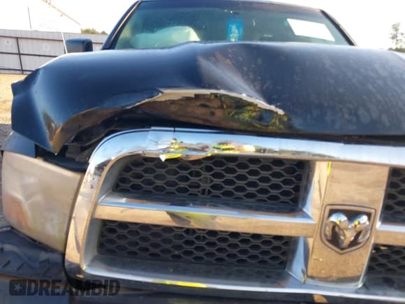 ✅ 2009 Dodge 1500 SLT • VIN: 1D3HB18P29S774408 • Lot: 40308323. Wystawiony na IAAI z przebiegiem 195 958 mil. Bezpłatny archiwum sprzedaży aukcyjnych z USA i szczegółowy raport historii pojazdu na DreamBid. Zdjęcie 18.