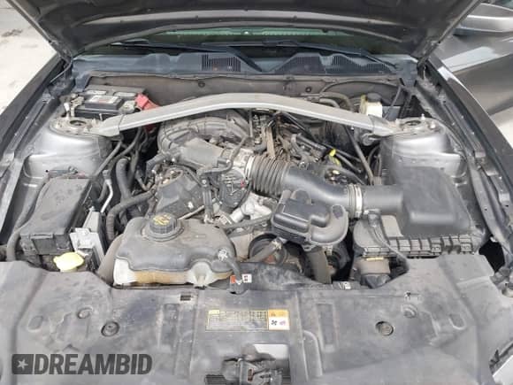 2014 Ford Mustang V6 с VIN 1ZVBP8EM7E5246694, выставлен на аукционе IAAI как лот 43213482 с пробегом 204 803 миль миль и . История ставок и продаж доступна на DreamBid. Изображение 10.