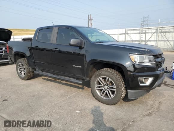 ✅ 2019 Chevrolet Colorado 2WD Work Truck • VIN: 1GCGSBEA8K1164566 • Лот: 64274554. Опубликован ранее на Copart с пробегом 50 376 миль. Бесплатный доступ к архиву аукционных продаж из США и подробный отчёт об истории автомобиля на DreamBid. Изображение 4.
