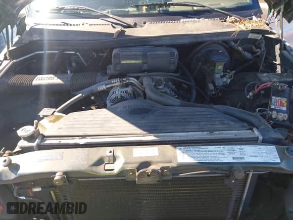 ✅ 1996 Dodge 1500 • VIN: 1B7HC16ZXTS550045 • Lot: 43444215. Wystawiony na IAAI z przebiegiem 174 430 mil. Bezpłatny archiwum sprzedaży aukcyjnych z USA i szczegółowy raport historii pojazdu na DreamBid. Zdjęcie 10.