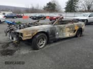 ✅ 1997 Ford Mustang • VIN: 1FALP4449VF158781 • Lot: 85751374. Listed on Copart with Not provided. Free auction sales archive from the USA and detailed vehicle history report at DreamBid. Image 1.