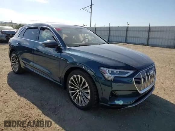 ✅ 2019 Audi e-tron Prestige • VIN: WA1VABGE8KB021079 • Lot: 51440093. Wystawiony na Copart z przebiegiem Nie podano. Bezpłatny archiwum sprzedaży aukcyjnych z USA i szczegółowy raport historii pojazdu na DreamBid. Zdjęcie 11.