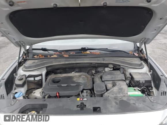 ✅ 2019 Hyundai Santa Fe SE • VIN: 5NMS2CAD7KH054274 • Lot: 43694931. Listed on IAAI with 96,329 mi. Free auction sales archive from the USA and detailed vehicle history report at DreamBid. Image 10.