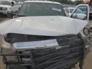 ✅ 2015 Ford F-250 Lariat • VIN: 1FT7W2BT0FEA79908 • Lot: 81835695. Wystawiony na Copart z przebiegiem Nie podano. Bezpłatny archiwum sprzedaży aukcyjnych z USA i szczegółowy raport historii pojazdu na DreamBid. Zdjęcie 11.