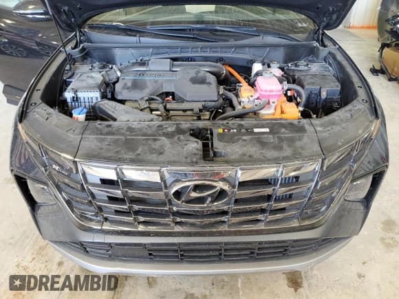 ✅ 2024 Hyundai Tucson N Line • VIN: KM8JFCD12RU150166 • Lot: 69686684. Wystawiony na Copart z przebiegiem 7 155 mil. Bezpłatny archiwum sprzedaży aukcyjnych z USA i szczegółowy raport historii pojazdu na DreamBid. Zdjęcie 12.