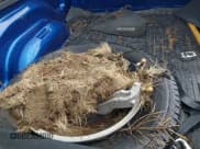 ✅ 2010 Dodge 1500 ST • VIN: 3D7JB1ET4AG159405 • Lot: 42708566. Wystawiony na IAAI z przebiegiem Nie podano. Bezpłatny archiwum sprzedaży aukcyjnych z USA i szczegółowy raport historii pojazdu na DreamBid. Zdjęcie 17.