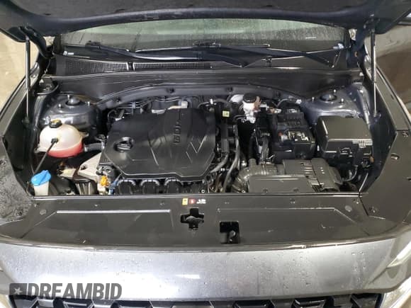 ✅ 2021 Hyundai Santa Fe SE • VIN: 5NMS1DAJ8MH361955 • Лот: 92074395. Опубликован ранее на Copart с пробегом 98 168 миль. Бесплатный доступ к архиву аукционных продаж из США и подробный отчёт об истории автомобиля на DreamBid. Изображение 12.