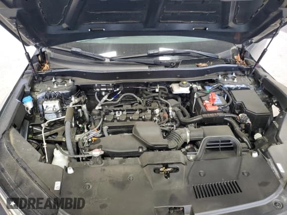 ✅ 2023 Honda CR-V LX • VIN: 2HKRS4H24PH426043 • Lot: 80481725. Wystawiony na Copart z przebiegiem 12 676 mil. Bezpłatny archiwum sprzedaży aukcyjnych z USA i szczegółowy raport historii pojazdu na DreamBid. Zdjęcie 12.