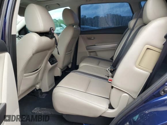 ✅ 2010 Mazda CX-9 Sport • VIN: JM3TB2MA0A0233570 • Lot: 55952025. Listed on Copart with 159,946 mi. Free auction sales archive from the USA and detailed vehicle history report at DreamBid. Image 11.