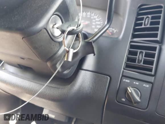 2003 Dodge Dakota with VIN 1D7GG16X73S130005, listed as a IAAI auction lot 42306999 with 257,954 mi miles and . Bid and sale history available at DreamBid. Image 11.