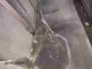 2002 Hyundai Sonata с VIN KMHWF25H22A556239, выставлен на аукционе IAAI как лот 41682061 с пробегом 170 270 миль миль и . История ставок и продаж доступна на DreamBid. Изображение 12.