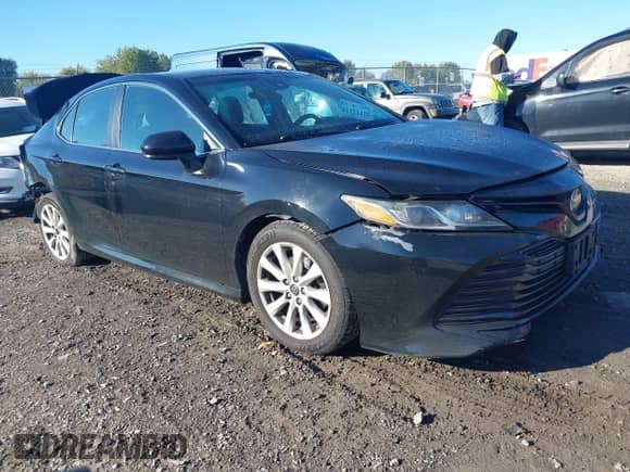 2019 Toyota Camry LE with VIN 4T1B11HK1KU697946, listed as a IAAI auction lot 43424429 with 289,881 mi miles and . Bid and sale history available at DreamBid. Image 1.