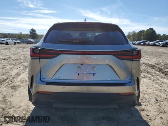 ✅ 2025 Lexus NX 350 Luxury • VIN: JTJHGCEZ4S5010282 • Лот: 79807514. Опубликован ранее на Copart с пробегом 435 миль. Бесплатный доступ к архиву аукционных продаж из США и подробный отчёт об истории автомобиля на DreamBid. Изображение 6.