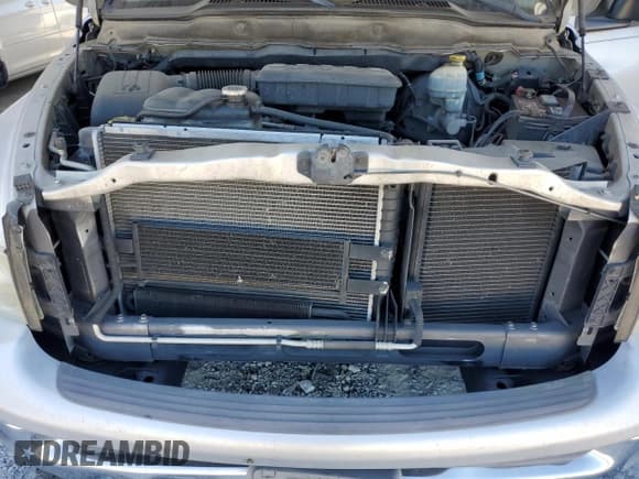 ✅ 2002 Dodge 1500 • VIN: 3D7HA18N52G113825 • Лот: 75800204. Опубликован ранее на Copart с пробегом 163 066 миль. Бесплатный доступ к архиву аукционных продаж из США и подробный отчёт об истории автомобиля на DreamBid. Изображение 11.